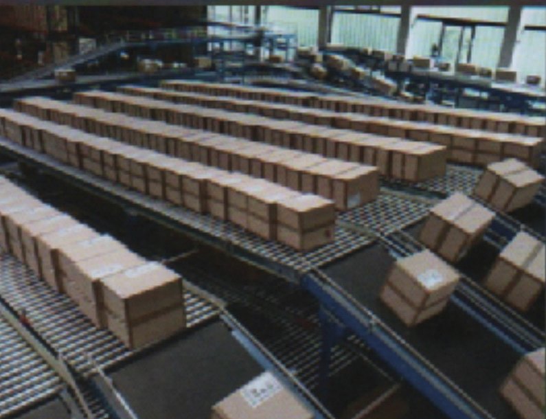 Gravity roller conveyor sorting lines with cartons
